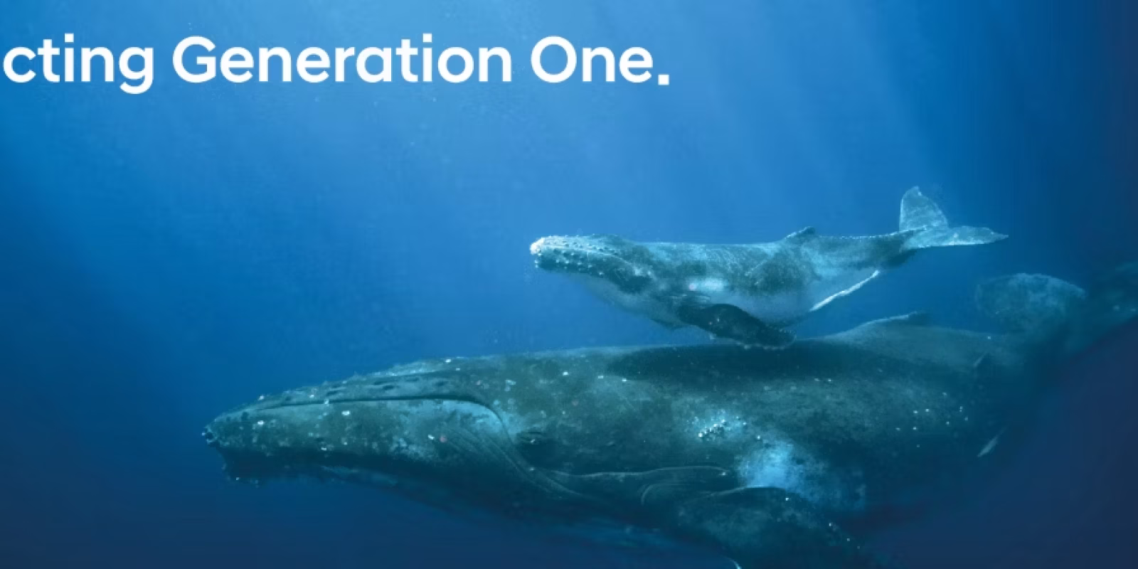 hyundai-expecting-generation-one-campaign-02_Content Banner Desktop