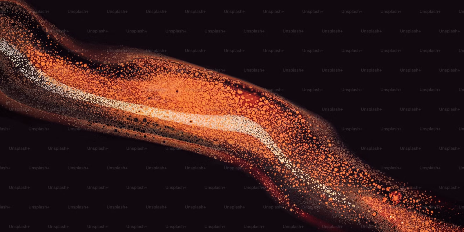 premium_photo-1686685571688-e2a2d9035811
